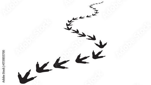 Vector illustration of a winding trail of bird footprints isolated on white for graphic design and creative projects