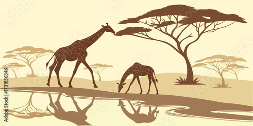 Vector poster of two giraffes drinking water in a savannah watering hole. Include reflections in water, soft warm lighting, sparse acacia trees, minimal background distractions, elegant wildlife compo