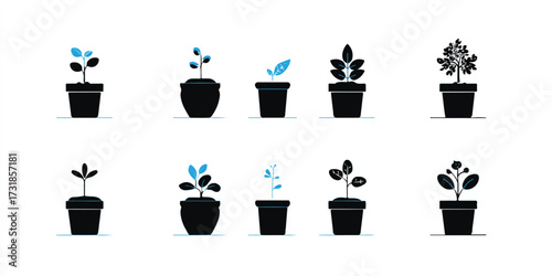 Growth Stages of Plants in Pots Isolated on White Background Symbolizing Development and Nurturing Growth