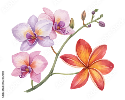 watercolor orchid and tropical flower set for decor isolated on white background