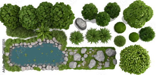 Overhead view of a pond trees and rocks on white background