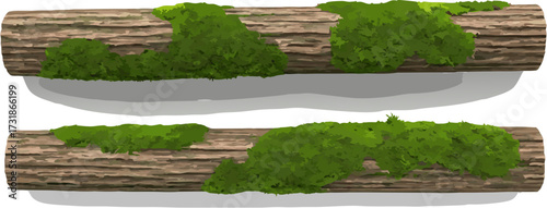 Two logs with green moss rustic nature illustration