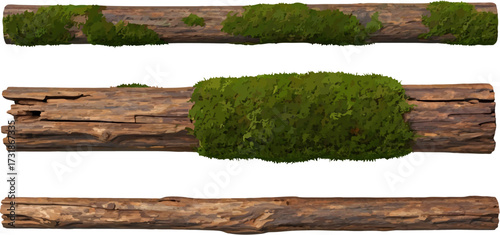 Wooden logs covered with green moss displayed on white background