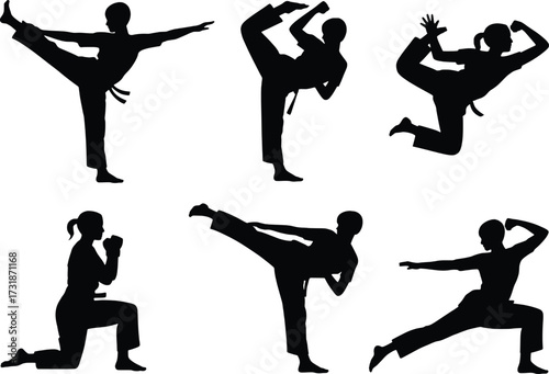 Dynamic martial arts silhouettes six action poses karate taekwondo athlete training