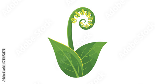 A young fern frond unfurls its spiral shape with green leaves at its base.