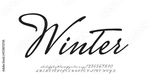 Manual signature for documents on white background. Hand drawn Calligraphy lettering Vector illustration