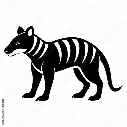 Vector illustration of black and white illustration of a tasmanian tiger, also known as a thylacine, standing on a