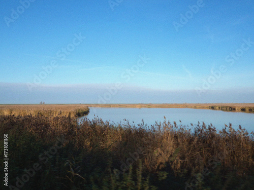 Lake in the morning. Beautiful natural flyer, card design. Nature Template for presentation or product