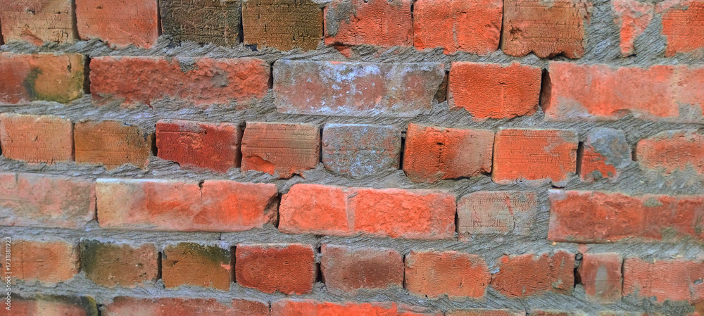 Fototapeta premium red brick wall