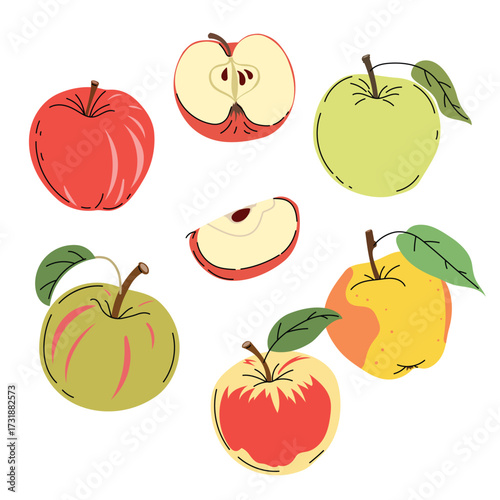 Apples set in flat modern minimalistic style. Farm fresh fruit collection. Sort of whole and cut apples. Vector illustrations isolated on white background.