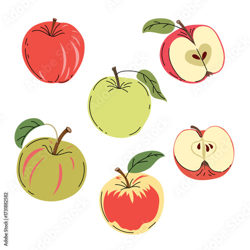 Apples set in flat modern minimalistic style. Farm fresh fruit collection. Sort of apples. Vector illustrations isolated on white background.