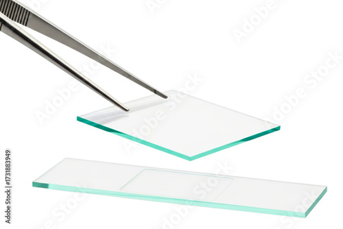 Tweezers holding a glass coverslip over a microscope slide on a transparent background