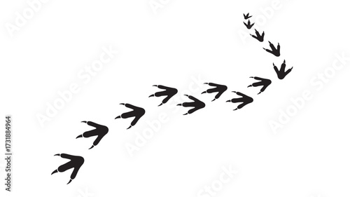 Vector illustration of bird footprints black silhouette of animal trail isolated on white background