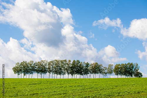 Hokkaido's blue skies and magnificent scenery
