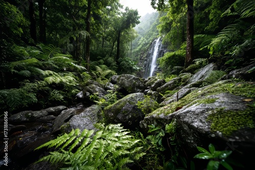 Waterfall in tropical jungle surrounded by lush vegetation