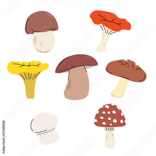 Sort of mushrooms in simple clean and minimalistic style. Autumn forest vegetables in flat design. Best for botanical, organic, food, and nature-related themes. Vector illustrations. 