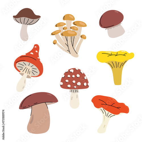 Sort of mushrooms in simple clean and minimalistic style. Autumn forest vegetables in flat design. Best for botanical, organic, food, and nature-related themes. Vector illustrations. 