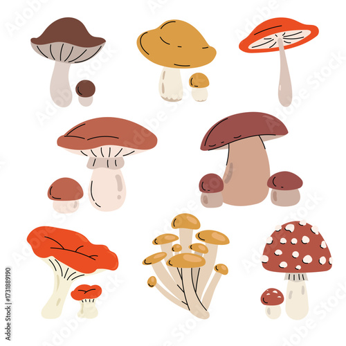 Sort of mushrooms in simple clean and minimalistic style. Autumn forest vegetables in flat design. Best for botanical, organic, food, and nature-related themes. Vector illustrations. 