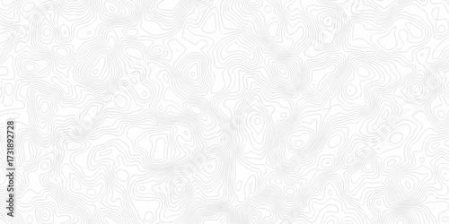 Abstract pattern with lines seamless pattern and topography map and counter map. abstract sea map area space geometric line technology topo landscape grid map texture.	