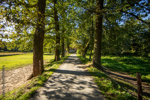 Effelder Waldseepfad, Kreis Heinsberg