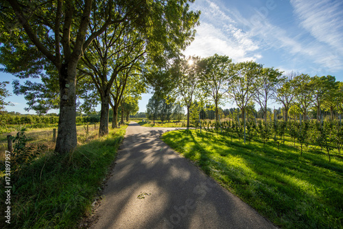 Effelder Waldseepfad, Kreis Heinsberg