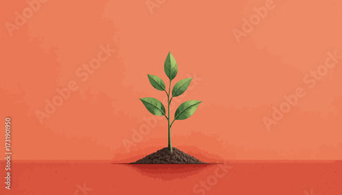 vector of plant grow process