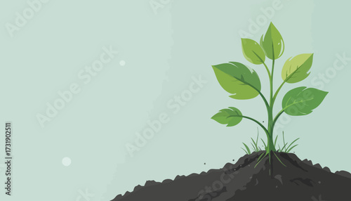vector of plant grow process