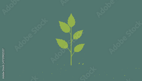 vector of plant grow process