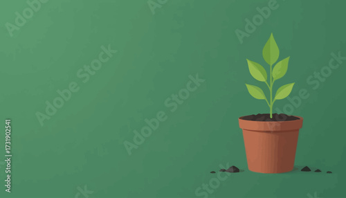 vector of plant grow process