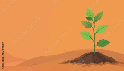 vector of plant grow process