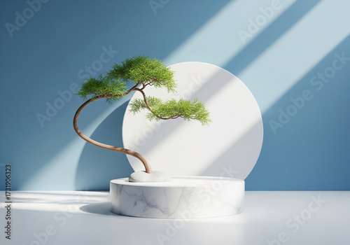 A minimalist composition featuring a small bonsai tree on a marble pedestal in front of a large white circle against a blue wall with dramatic shadows