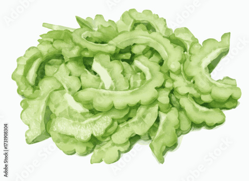 Verdant Knobs Bitter melon slices isolated watercolor vector illustration svg