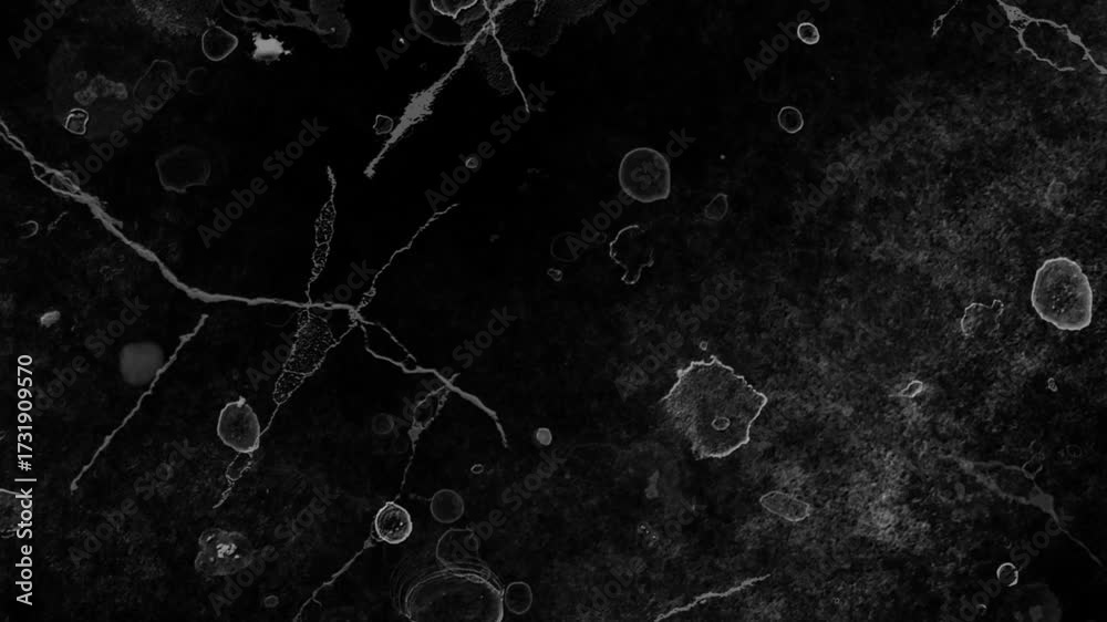 Dark abstract texture with organic shapes and cracks