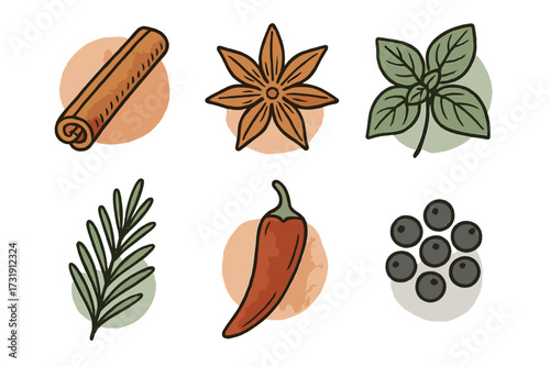Collection of aromatic spices and fresh herbs including cinnamon, star anise, basil, rosemary, chili, and peppercorns