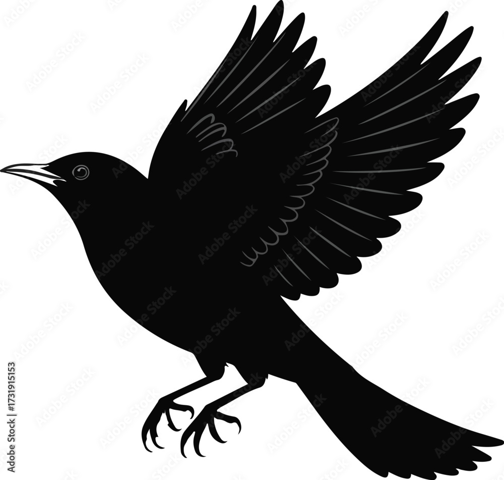 Obraz premium Crow and Eagle Silhouettes on White Background