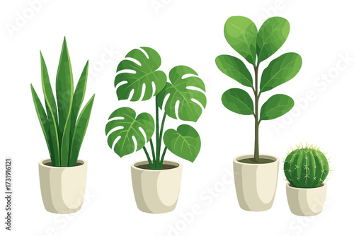 Set of diverse green indoor potted plants including snake plant monstera fiddle leaf fig and cactus varieties