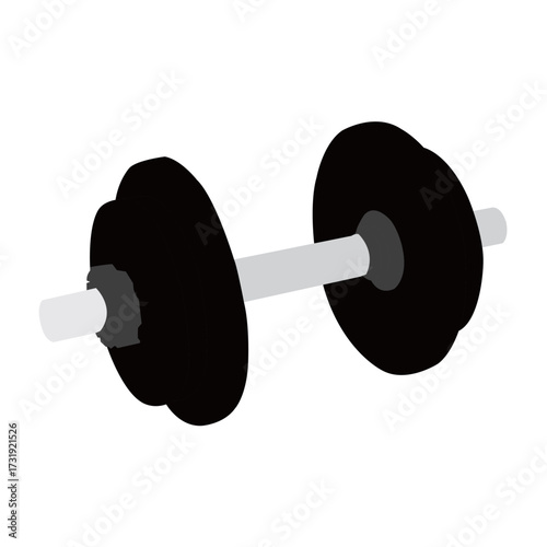 Vector dumbbells and a barbell for bodybuilding and fitness strength training in a gym