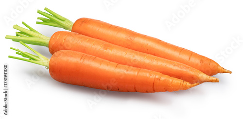 Fresh carrot isolated on white background. File contains clipping path.
