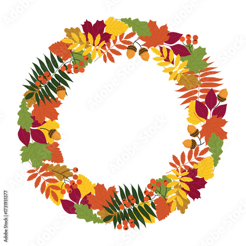 round frame of autumn leaves, rowan berries, and acorns, highlighted on a white background. an autumn frame for text and title design with flat-style plant elements. stock vector illustration. EPS 10.