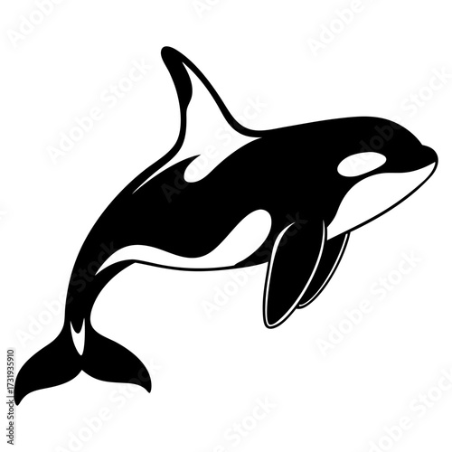 A photorealistic image of an orca, centered in the frame, against a stark white background. The orca is positioned mid-air, arched in a dynamic pose, as if leaping or diving. Its body exhibits the cha