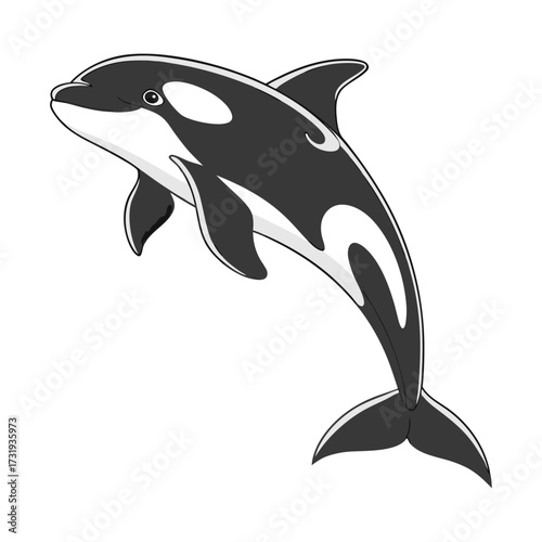 A photorealistic image of an orca, centered in the frame, against a stark white background. The orca is positioned mid-air, arched in a dynamic pose, as if leaping or diving. Its body exhibits the cha