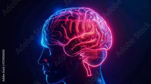Digital Visualization of Human Brain
Artificial Intelligence Neural Network Concept