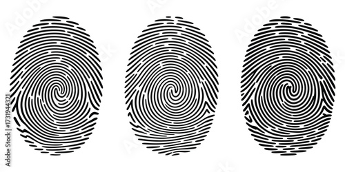 Fingerprint scans isolated on transparent background showing unique biometric patterns for digital security and identification authentication concept