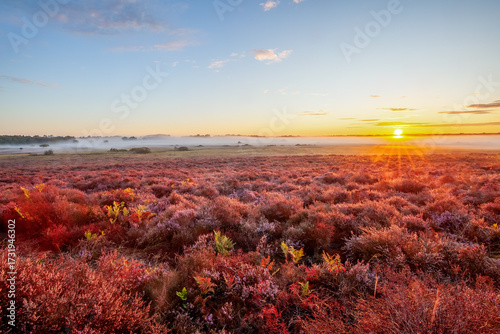 First light dawn sunrise over wide heathland landscape