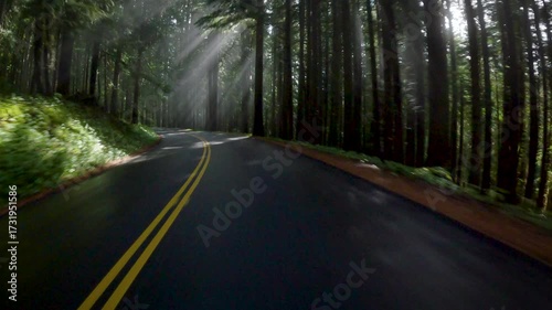 Road of Washington State,  driving across forest and mountains