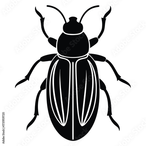 beetle vector icon on white background