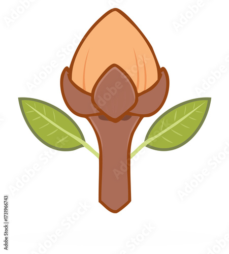 Single stylized clove with leaves for culinary herb or spice illustration