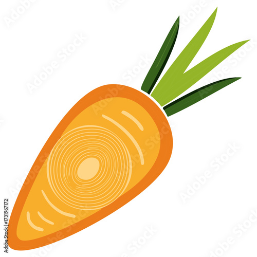 Stylized illustration of a fresh carrot sliced in half showing a cross section. Healthy food vector icon.