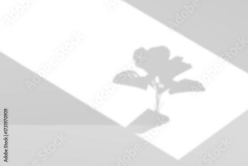 Abstract transparent leaf shadow overlay natural light effect on grid texture background