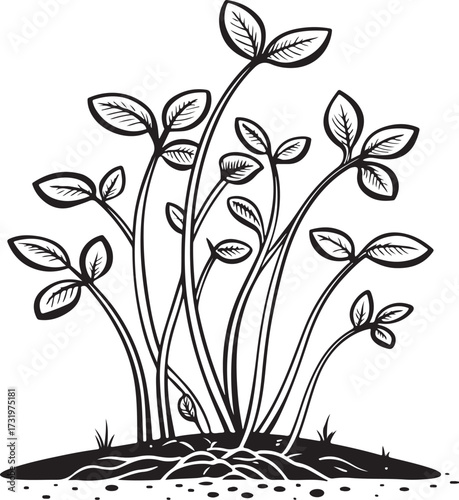 Microgreens Hand-drawn Sketch Drawing Vector Illustration, Line Linear Symbol Engraving Coloring Book, Black and White Isolated